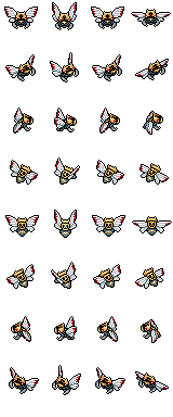 Ninjask