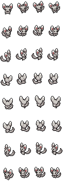 Minccino